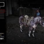 Online-Horses-and-coats-2.0