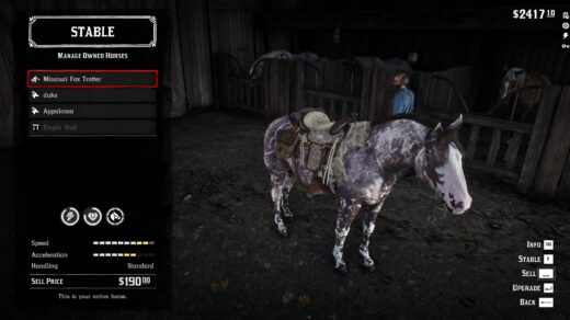 Online-Horses-and-coats-2.0