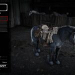 Online-Horses-and-coats-2.02
