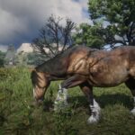Online-Horses-and-coats-2.04