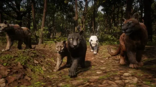 Online-Panthers-Unlocked-for-SP-1024x576-1