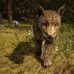 Online-Panthers-Unlocked-for-SP2