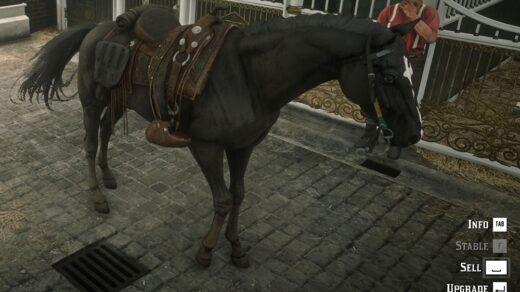 Online-Turkoman-Horses