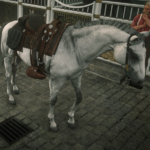 Online-Turkoman-Horses2