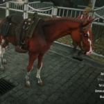 Online-Turkoman-Horses3