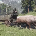 Oxen-Pull-Some-Wagons-plus-Reindeer