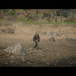 PS4-RDR2-settings3
