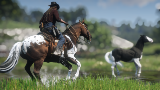 Paint-and-Appaloosa-Horse-Coats-1024x576-1