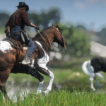 Paint-and-Appaloosa-Horse-Coats