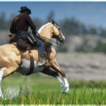 Paint-and-Appaloosa-Horse-Coats2