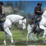 Paint-and-Appaloosa-Horse-Coats3