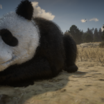 Panda-Bear2