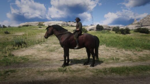 Percheron-1024x576-1