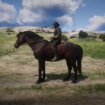 Percheron