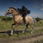Percheron2