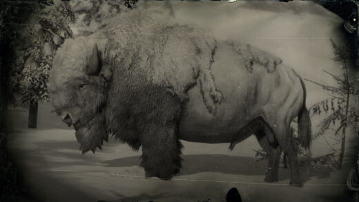 Perfect-Pelts