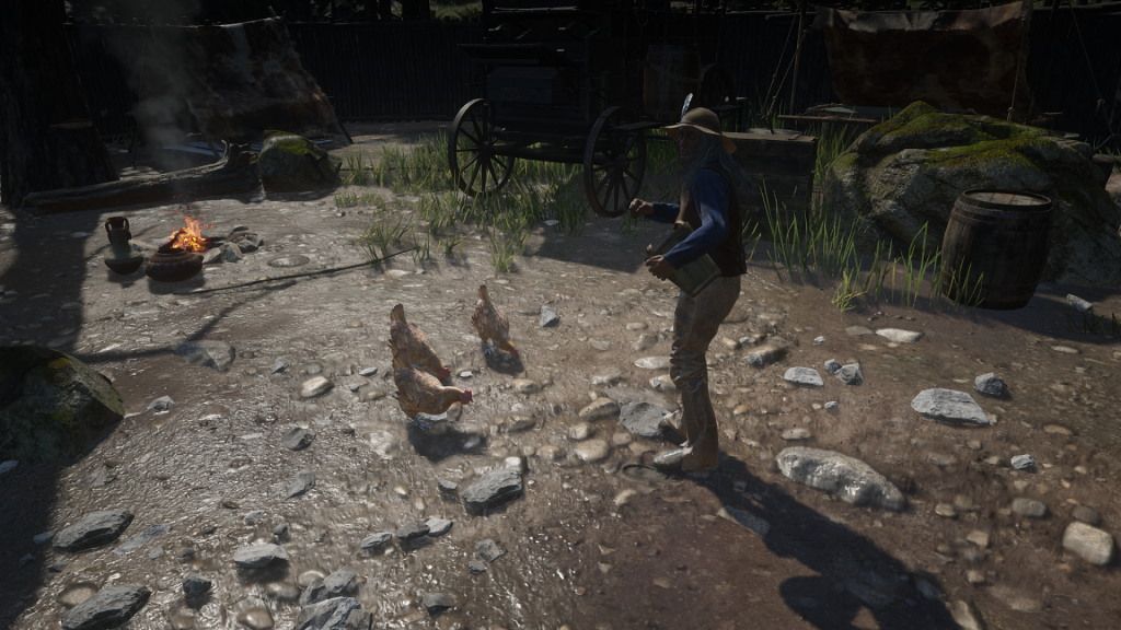 Pikenboas Camp