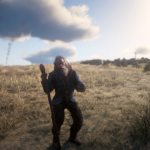 Pioneer-Reshade