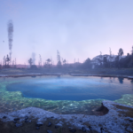 Pioneer-Reshade2