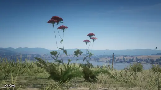 Plants-Finder-1024x576-1