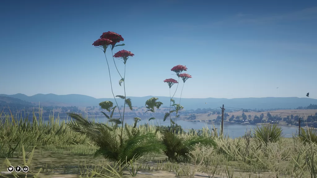 Plants Finder