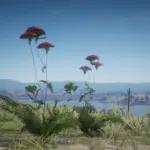 Plants-Finder