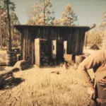 Ponder-Forest-Moonshine-Cabin3