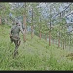 Project-Trees