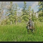 Project-Trees2