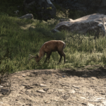 PsyWarrior01-Reshade3