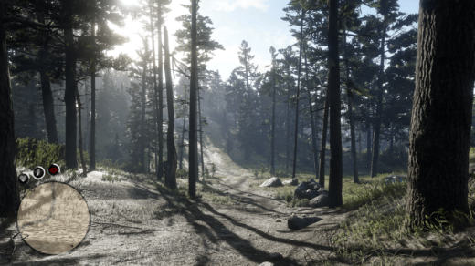 RDR2-Advanced-Game-Settings-1024x576-1