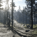 RDR2-Advanced-Game-Settings