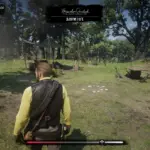 RDR2-SAVE-ALL-THAT-GLITTERS2