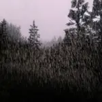 Rain-Particles-Fix2