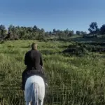 Realism-Reshade-for-Visual-redemption2
