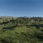 Realism-Reshade-for-Visual-redemption4