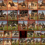 Realistic-Cowboy-Horses