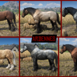 Realistic-Draft-Horses2