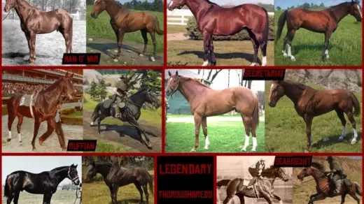 Realistic-Exotic-Horses2-1024x668-1