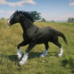 Realistic-Fictional-Horses2