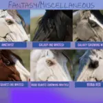Realistic-Horse-Eyes4-scaled-1
