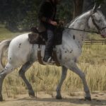 Realistic-Leopard-Appaloosas