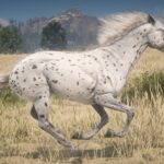 Realistic-Leopard-Appaloosas3
