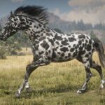 Realistic-Leopard-Appaloosas4