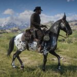 Realistic-Western-Mules3