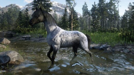 Red-Dead-Arabian-1024x671-1