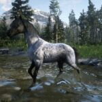 Red-Dead-Arabian