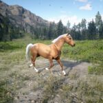 Red-Dead-Arabian2