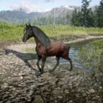 Red-Dead-Arabian3