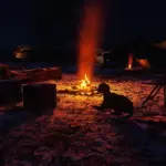 Red-Dead-Colorful-Reshade5
